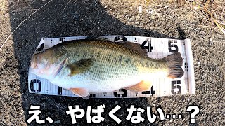 【バス釣り】マジでやばくないですか？さかもんよくやった！【柳川クリーク】