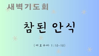 【새벽예배】 여호수아 1:10-18┃참된 안식┃더삶교회_김규성목사┃2024년 12월 28일