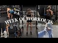 WEEK OF WORKOUTS | 3 day split + active rest days