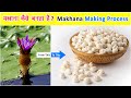 मखाना कैसे बनता है | Makhana Kaise Banta hai | Makhana Making Process | Makhana ki Kheti