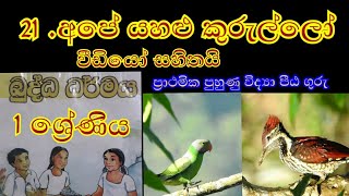 එක වසර බුද්ධ ධර්මය#අපේ යහළු කුරුල්ලෝ#21 පාඩම#grade 1  Buddhism lessons#buddha dharmaya padam#🇱🇰