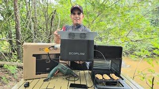 Com a Estação de Energia portatil ECOFLOW Delta 2, Fiz peixe assado na Air Fryer.