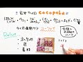 玄米カイロ【 cocopoka ココポカ 】のご紹介