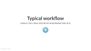 R Tutorial: Typical workflow