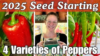 2025 Seed Starting 🌱: 4 Varieties of Peppers 🌶️🫑 || Step-by-Step Seed Starting Guide