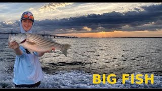 Rock fishing charter