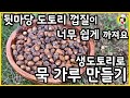 생도토리 쉽게 말려 한방에 껍질 까는법 - 도토리묵 가루 만들기 - 치대고 짤 필요 없어요  - How to eat acorns