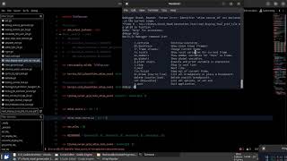 Godot debug command line on linux