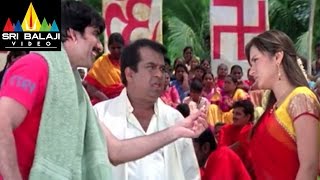 Krishna Movie Raviteja Brahmi and Sunil Comedy | Ravi Teja, Trisha | Sri Balaji Video