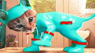 Play Fun Kitten Care Kids Games - Little Kitten Adventure - Animal Costumes Dress Up Puzzles Games