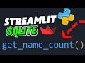 Streamlit + SQLite Tutorial 7: Count and Group Data in Your Python Web App