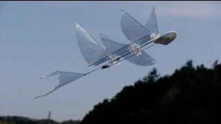 3Dprinted Ornithopter 　テスト飛行