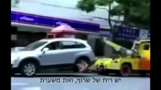 חייבים לראות - נשים נוהגות