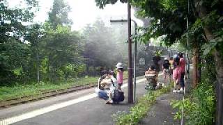 夏を駆け抜けるSL函館大沼号