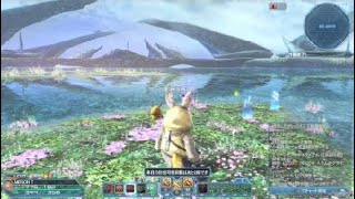 【pso2】時空の狭間 32階 Hr 3:21　地雷「ただのカカシ殴り」