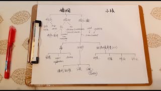 【MEE-Family Law】 家庭法 Family law big picture (1/2)