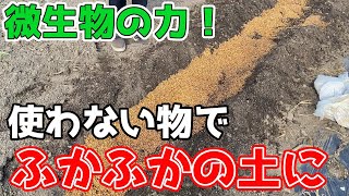 【ふかふか土作り】絶対使わないであろう物を一工夫するといい土作りができます！【家庭菜園】