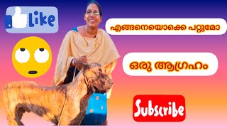 ചെറുപ്പത്തിൽ ഞാൻ കേട്ടിട്ടുള്ളു ഇപ്പോ കാണാൻ സാധിച്ചു 😊