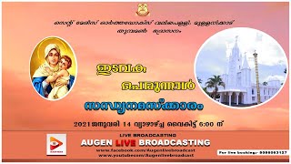 മുള്ളനിക്കാട് പള്ളി പെരുന്നാൾ | സന്ധ്യാനമാസ്‌ക്കാരം