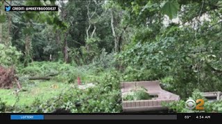 EF-0 Tornado Touches Down In Manorville, Long Island