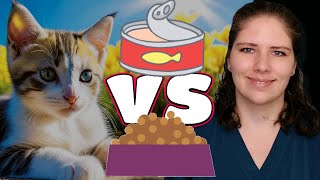 Canned or Kibble? Vet's Expert Advice for Your Cat (Part V)