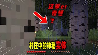 我的世界都市传说：玩家在村庄的水井下发现神秘实体！