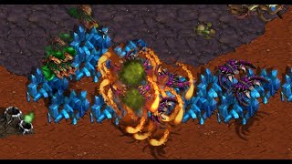 StarCraft! herO! Queen! Sn0w! Sharp! Sports! Movies! Politics! - Brood War -2025