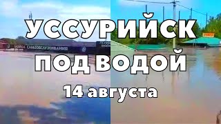 Наводнение в Уссурийске сегодня страшные последствия тайфуна в Приморье