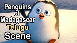 Penguins Of Madagascar Telugu Scene