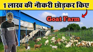 नौकरी छोड़कर किए बकरी पालन | Goat farming