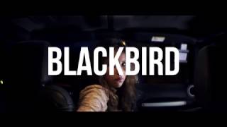 Blackbird - El Pavón Teatro Kamikaze - Teaser C