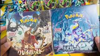 【ポケカ】再販されてるバイオレットexで、3枚目のミモザを狙う！！！