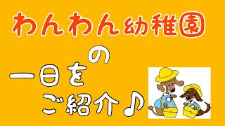 【犬の幼稚園】わんわんようちえんの一日をご紹介♪【大阪市旭区】