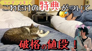 今まで泊まった宿で１番コスパ良すぎた宿早く言いたい！！