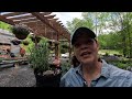 Clematis, Peonies, & So Much More Nursery Tour