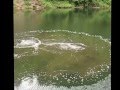 Are sinkholes forming underwater??? Strange phenomenon.