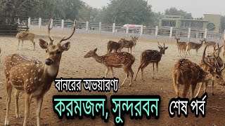 সুন্দরবন করমজল | করমজল বানরের অভয়ারণ্য | শীতকালীন সুন্দরবন ভ্রমণ | koromjal sundarban| শেষ পর্ব