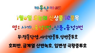 1월8일(오늘의 신상품 10품목) 사계/송정1번/신문/송정2번//정통단엽/서산반중투/입변중투호/호피반/금계열 산반녹호/까닥지 극황중투