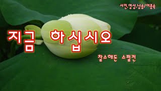 [힐링시낭송]  지금 하십시오/찰스해돈 스펄전 [사진,영상,낭송/ 이종숙]  외국시,힐링시,좋은시,명시,사랑시,치유시,철학시,