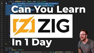 Can You Learn Zig In JUST 1 DAY
