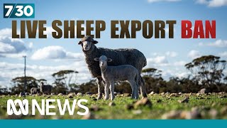 Sheep farmers are fighting to keep the live export industry going | 7.30