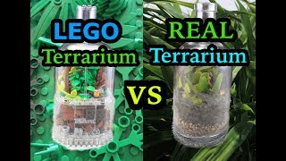 Real Terrarium vs Lego Terrarium!