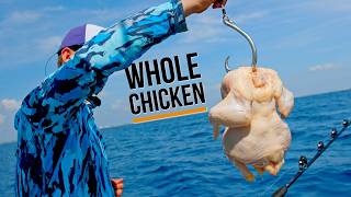 Shark Fishing with a Whole Chicken as Bait