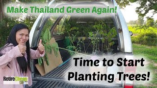 Starting to Plant a Food Forest | Make Thailand Green Again 0006