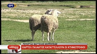 Καρτέλ γάλακτος καταγγέλλουν οι κτηνοτρόφοι της Θεσσαλίας