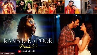 Ranbir Kapoor Mashup 2024 | Musical Lofi | Satranga | Channa Mereya | Animal Songs | Bollywood lofi