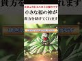 ※もう心配ありません 福音 救世主 幸運を引き寄せる音楽