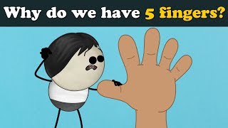 Why do we have 5 fingers? + more videos | #aumsum #kids #science #education #children