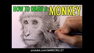 How to Draw a Monkey [Narrated Step-by-Step]