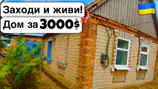 🇺🇦 Заходи и живи! Дом в селе за 3000$ Продажа недвижимости за копейки! Всё есть Уютное тихое село!